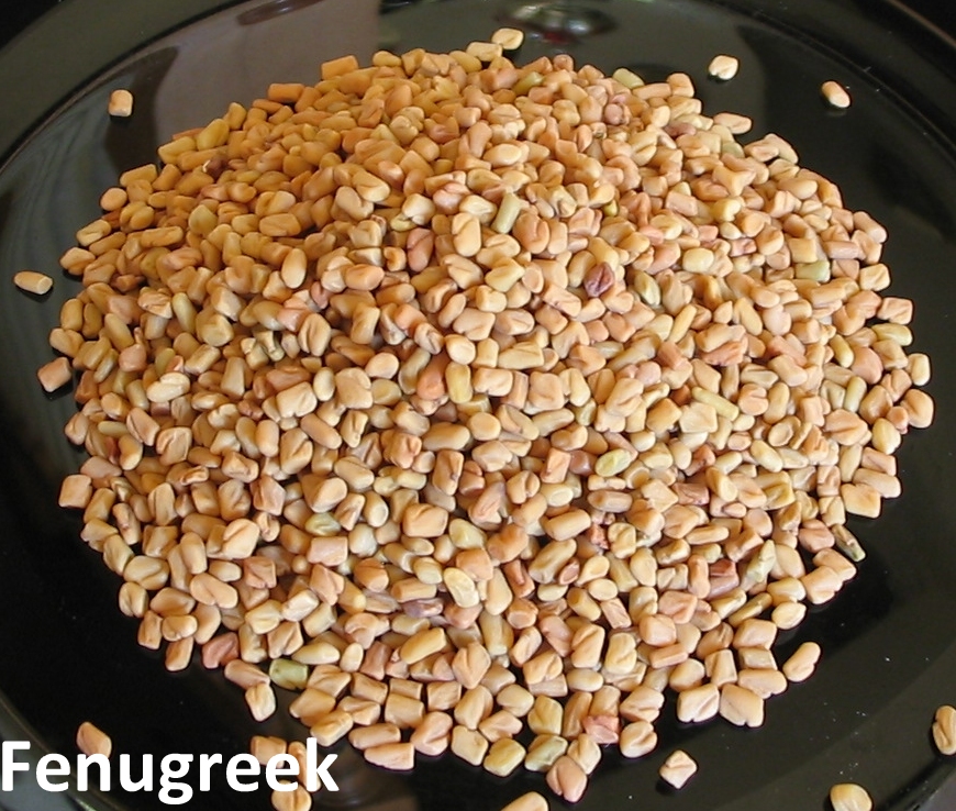 Fenugreek Seeds