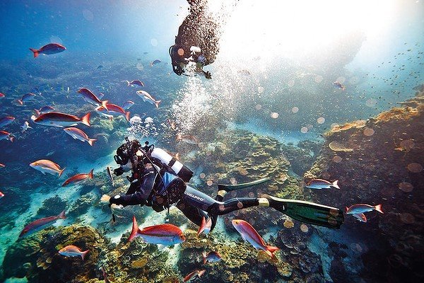 Scuba Diving in the Great Barrier Reef