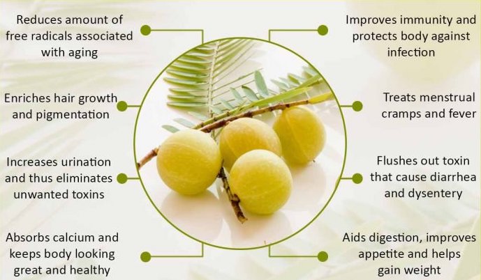 Uses of Indian-Gooseberry-आँवला