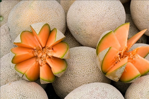 Cantaloupe