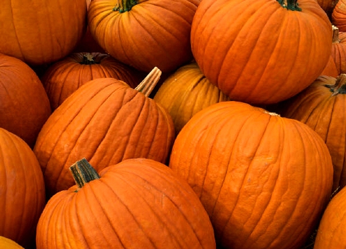 Pumpkins